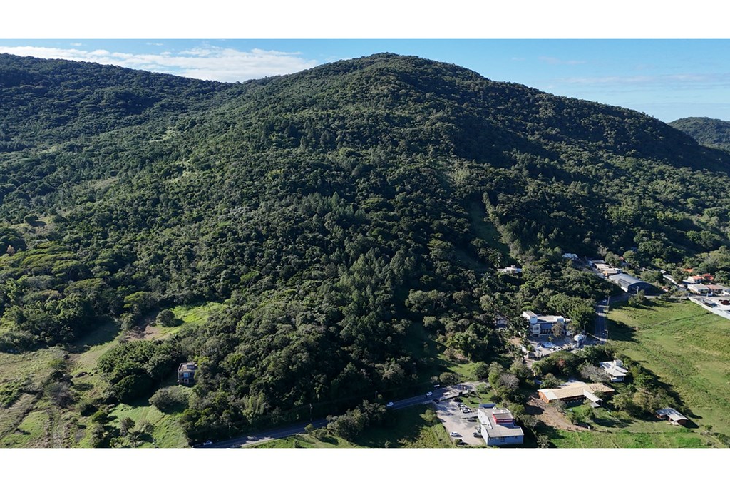 Terreno - Venda - Vargem Grande - Florianpolis - SC